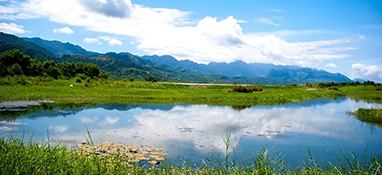 中共中央 國務院關于加快建設全國統一大市場的意見