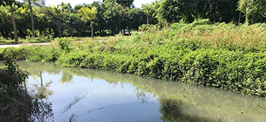 沿用城市思維？農(nóng)村黑臭水體治理“行不通”！